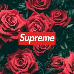 Meet your Posher, Cesar